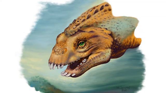 Placodus head смотреть онлайн