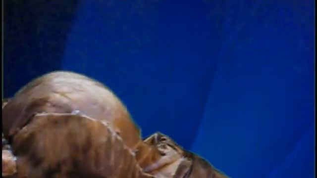 How to perform your own abortion at home смотреть онлайн