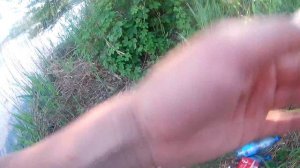Рыбалка Делаем из спиннинга фидер и ловим леща , густеру, окуня.