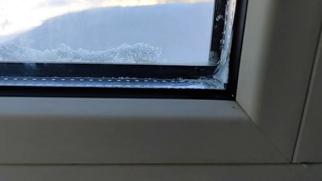 Влажность в доме из опилкобетона