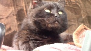 ПЕРВАЯ ПРОБА СЦЕПЛЕНИЯ. РЕМОНТ ТРАКТОРА МТЗ 82  Ч.3