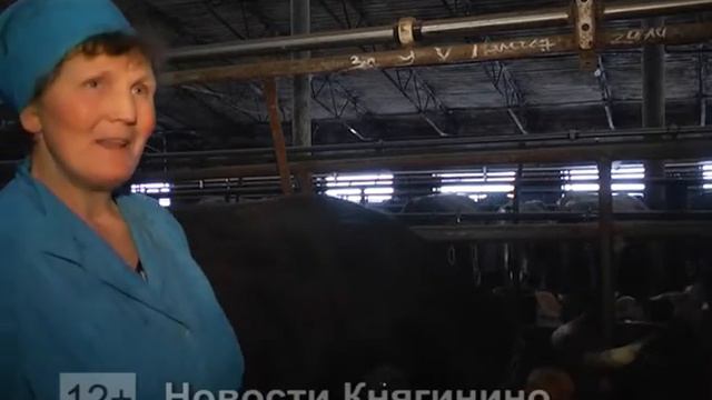 Пятитысячный рубеж пройден. смотреть онлайн