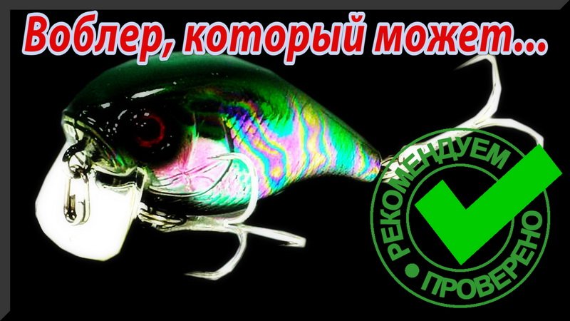 Обязательный воблер для голавлятника. Jackall Chubby 38 SSR, незря пользуется спросом. смотреть онлайн