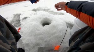 Рыбалка на жерлицы  озеро Шершни Челябинск. Щука, окунь, ерш.