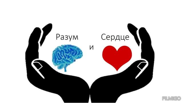 Размещение смотреть онлайн