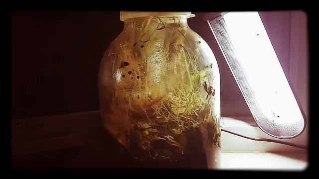 Мир без людей смотреть онлайн