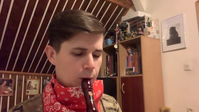 Bruno Mars - Talking to the Moon flute смотреть онлайн
