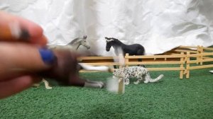 обзор на всю мою коллекцию лошадей шляйх (schleich)