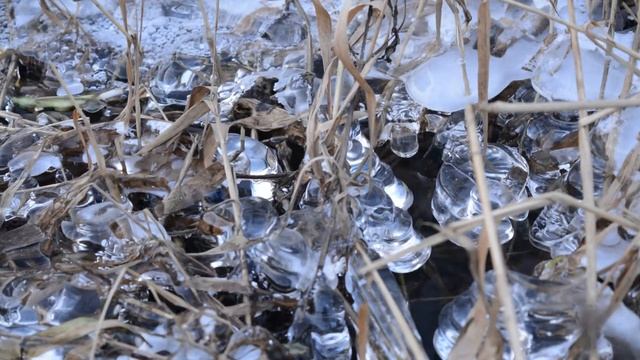 Nikon D5200 Cinematic November
