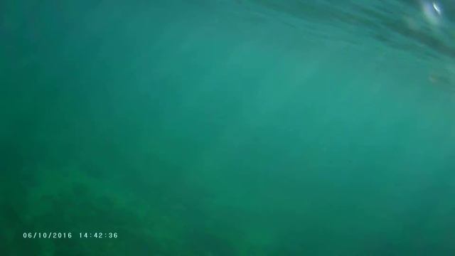 6 октября. Купаемся и гоняем рыбок в Черном море смотреть онлайн