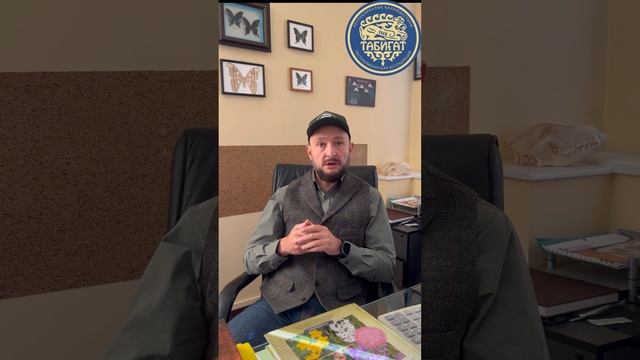 Формирование цен на путевки и лицензии в охотничьих хозяйствах. смотреть онлайн