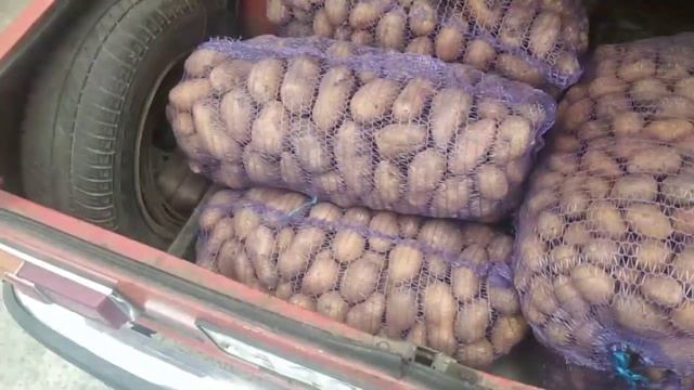 Цены сегодня рынок Большие Копани Херсонская область 26 сентября. смотреть онлайн