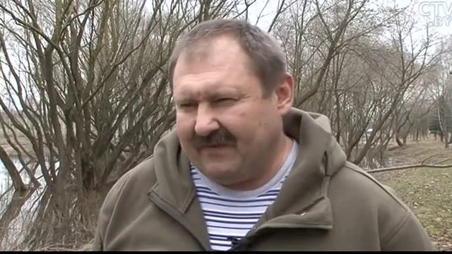 Аккуратная собака и вежливый кот: как воспитать идеального питомца? смотреть онлайн