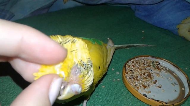 20160715 0950241 смотреть онлайн