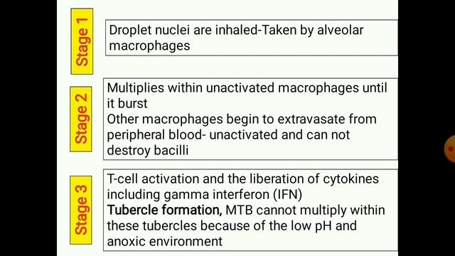 Mycobacterium tuberculosis смотреть онлайн