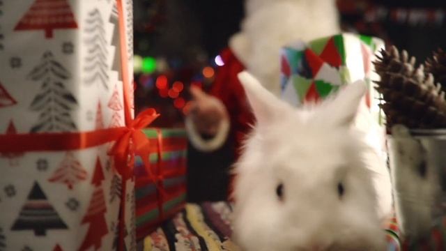 ИМЕННОЕ ПОЗДРАВЛЕНИЕ ДЕДА МОРОЗА смотреть онлайн