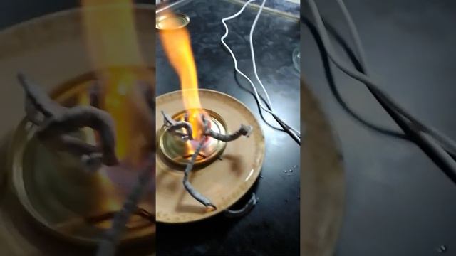 фараоновые змеи, думал будет красивее смотреть онлайн