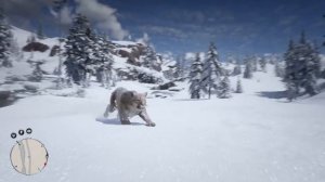 Симулятор Жизни Зверей #2 Пума зимой в лесу. Охота Кида на диких животных RDR2 на пурумчата