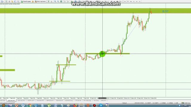 Трейдинг обучение Форекс
