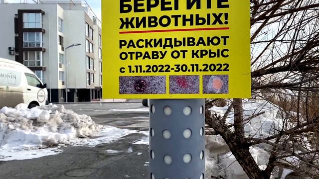 Бухта Патрокл, котеджи-заброшки. Заледеневшее Японское море. смотреть онлайн