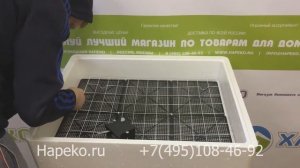 Обзор инкубатора Несушка на 104 яйца