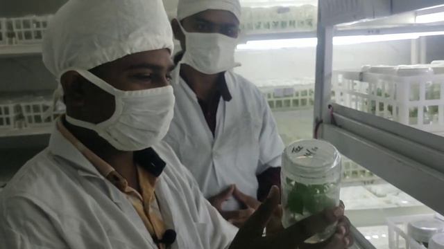 Plant Tissue Culture Lab: Exploring the Fascinating World of Plant Biotechnology. #aasankheti смотреть онлайн