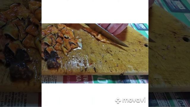 Трепанг на меду своими руками. Трепанг при сахарном диабете.