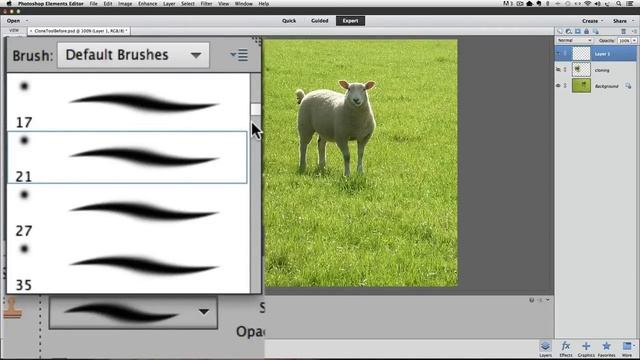 How To Use Photoshop Elements to Clone смотреть онлайн