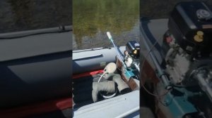 Заглубитель для мотовесла