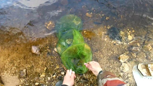 рыбалка выший волочек ...икра на берегу... смотреть онлайн