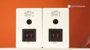 Обзор комплекта акустики Denon SCN10WTEM | Ситилинк