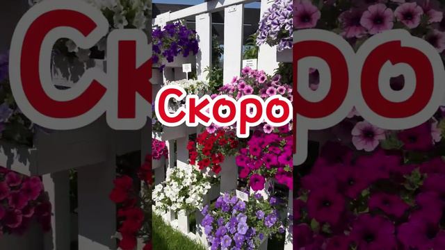 Скоро ждем видеоотчет о дне открытых дверей в Егорьевском тепличном комбинате смотреть онлайн