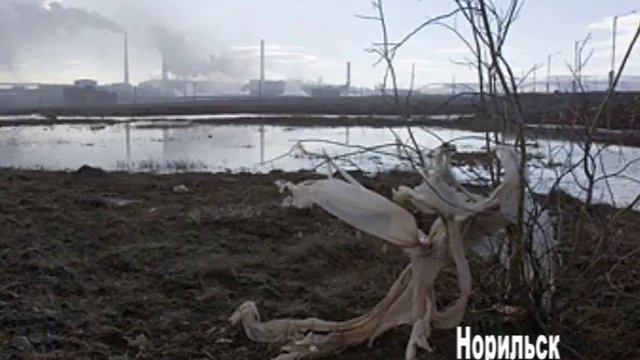 Норильский Никель: Ужасы нашего городка! смотреть онлайн
