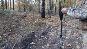 ЗАЧЕМ НУЖНА ВЫСОКАЯ ЧАСТОТА. АКА СИГНУМ ,Сравнение катушек