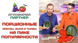 Порционные арбузы, дыни и тыквы на пике популярности