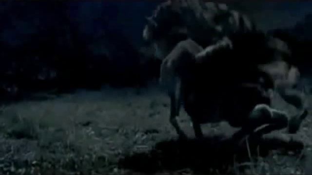 Sabertooth! смотреть онлайн