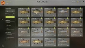 Фарм на оз.Медвежье, фидер и поплавок