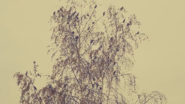 Стихотворение о любви.... смотреть онлайн