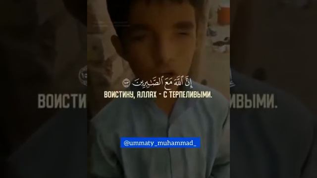 слепой мальчик читает коран смотреть онлайн