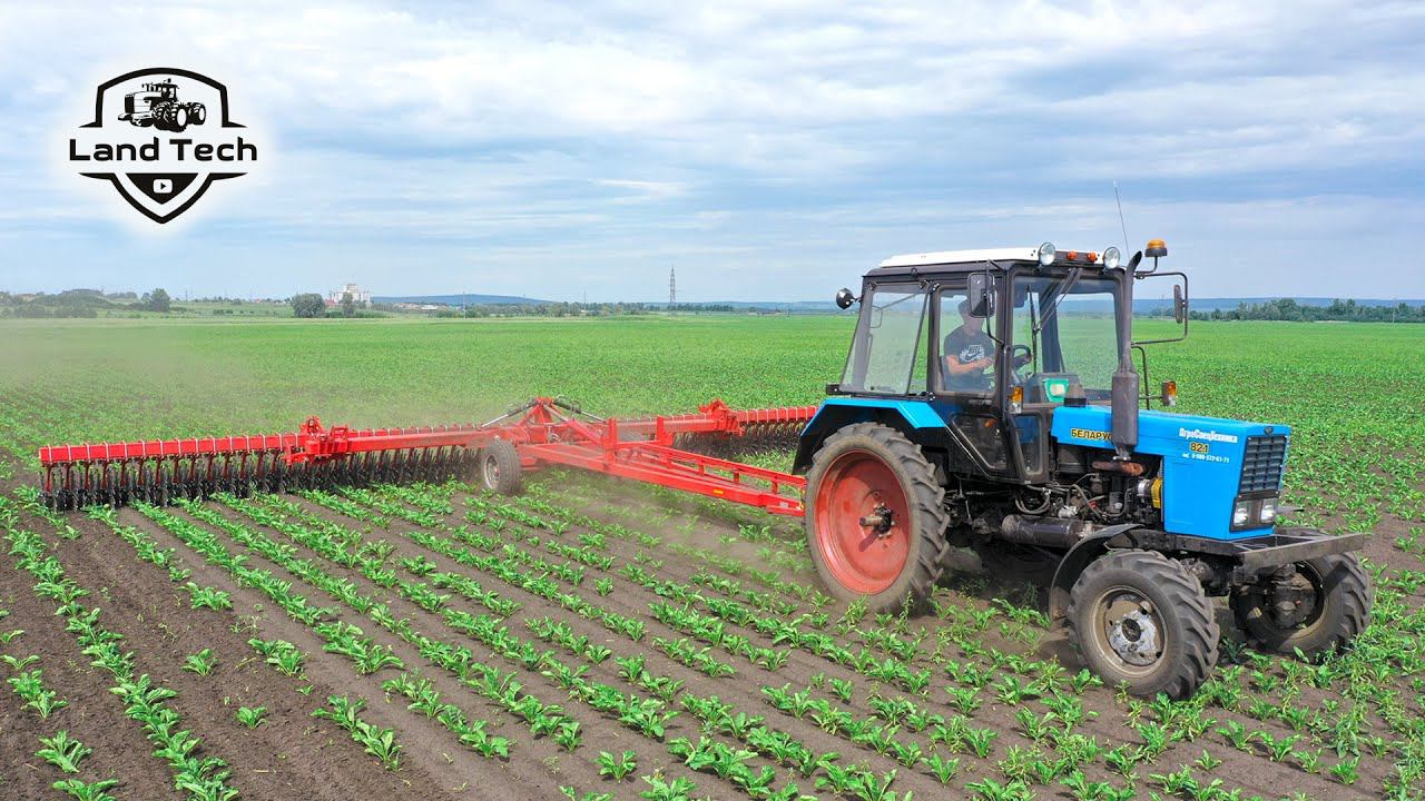 Трактор МТЗ-82 на узких шинах и борона ротационная БР-12 - обработка сахарной свеклы! смотреть онлайн