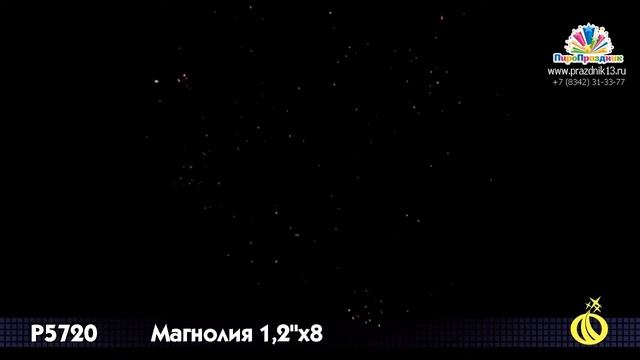 Р5720 МАГНОЛИЯ смотреть онлайн