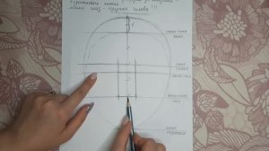 Пропорции головы человека. ИЗО. 6 класс