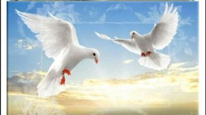 Голубь мой бумажный.