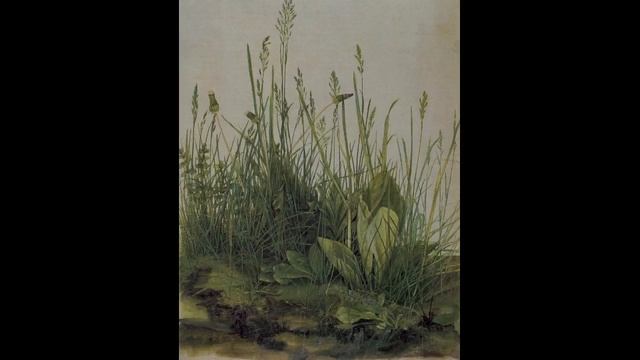 Dürer, The Large Piece Of Turf