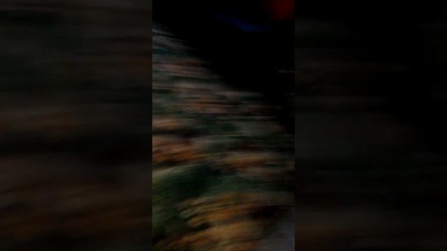 Новый год - это праздник чудес!