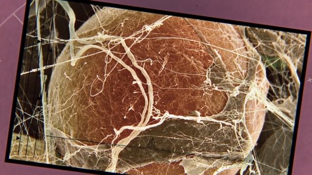 Рекомендуем к просмотру! Гормоны. Интересные факты! смотреть онлайн