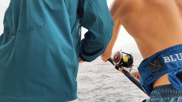 #43 Обучение яхтингу II смотреть онлайн