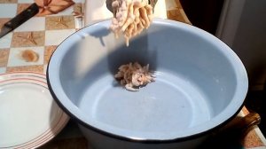 Паста из сала с чесноком. Намазка из сала. Сало бутербродное. Крученое сало. Паштет из сала. #суфик