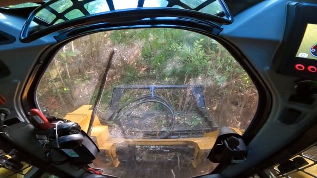 New Groovy Teeth on the Gyrotrac 400HL Forestry Mulcher | Running the New Knives смотреть онлайн