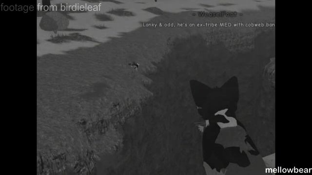 kit jump.mp4 (warrior cats: ultimate edition) смотреть онлайн
